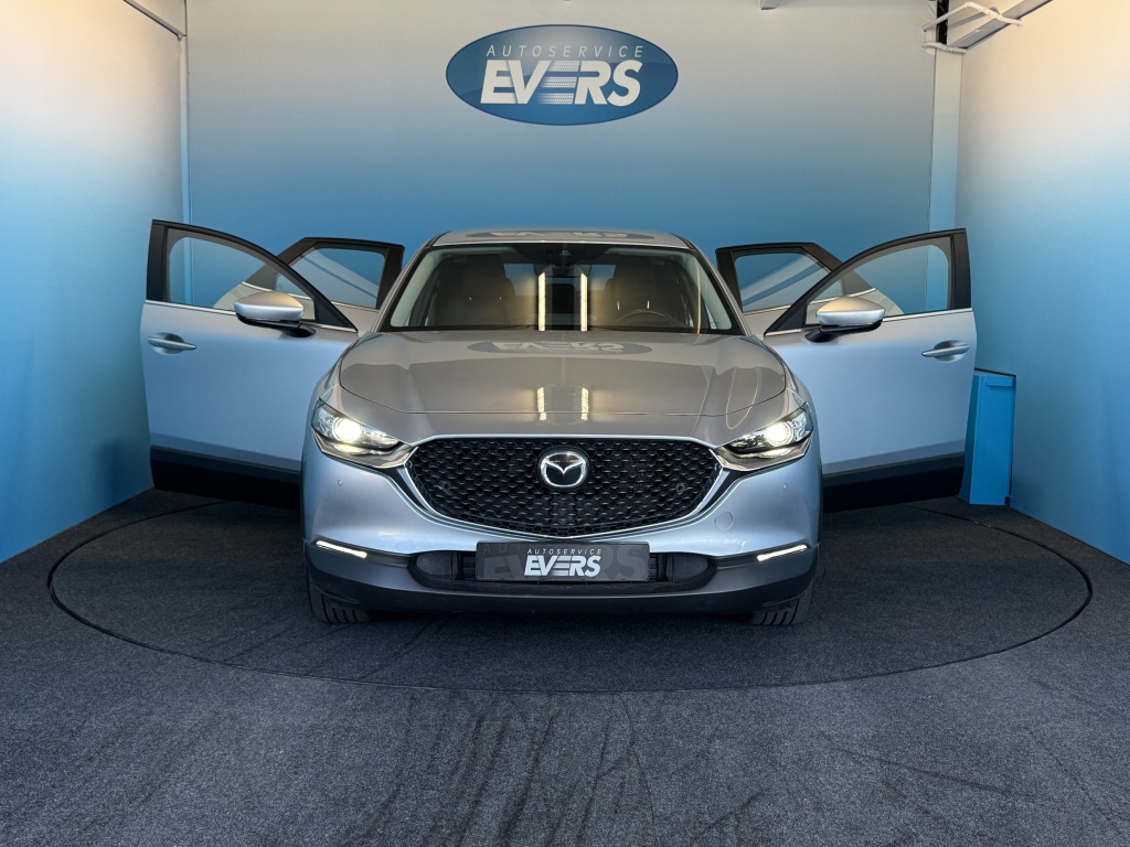39949013-5.jpg